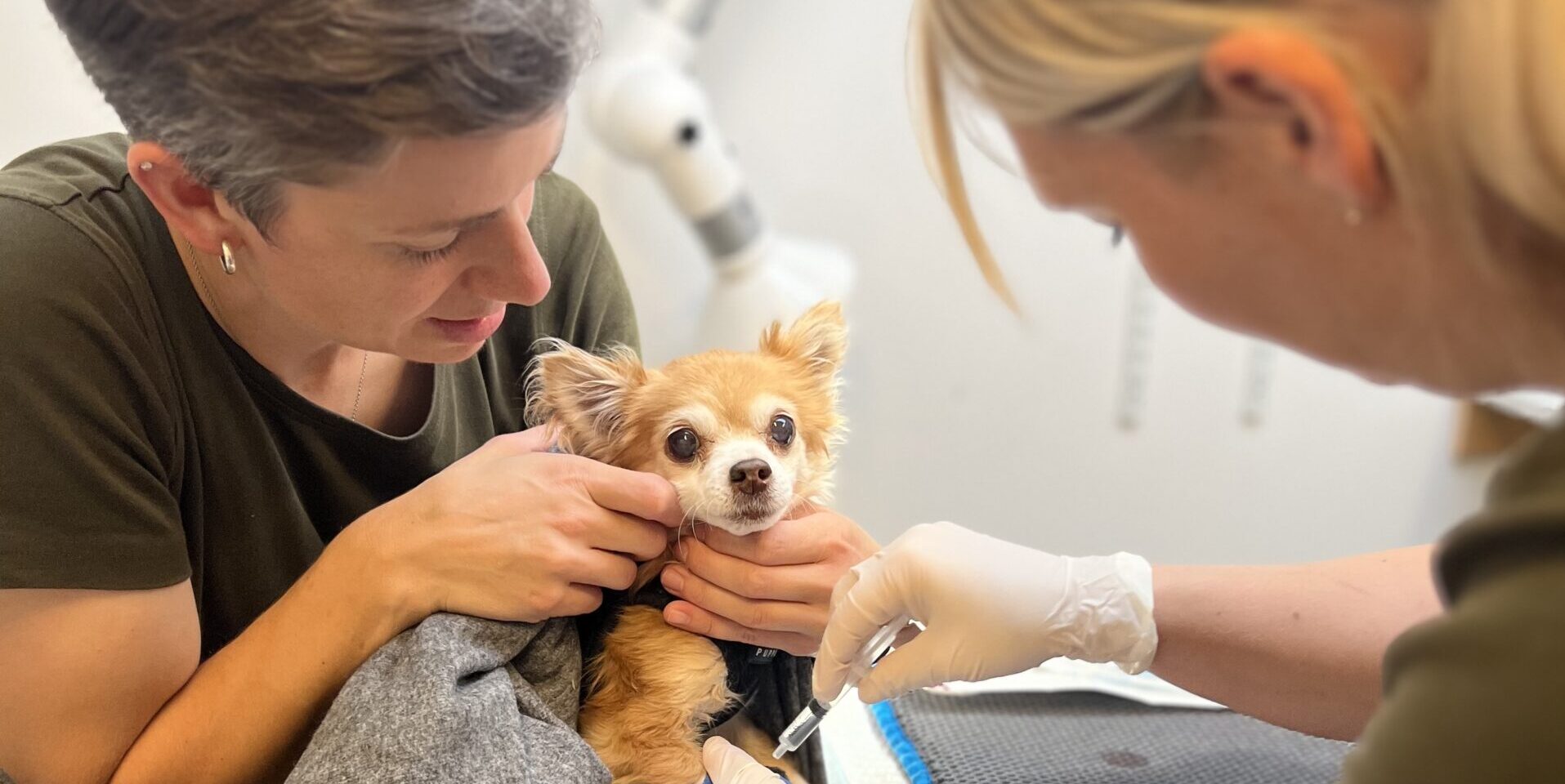 Camilla og Katrine bedøver hund